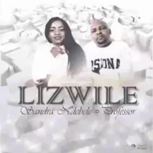 Sandra Ndebele - Lizwile ft. Professor